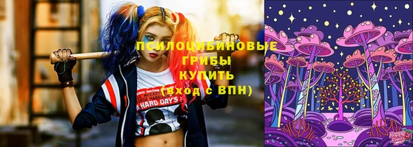 apvp Белоозёрский