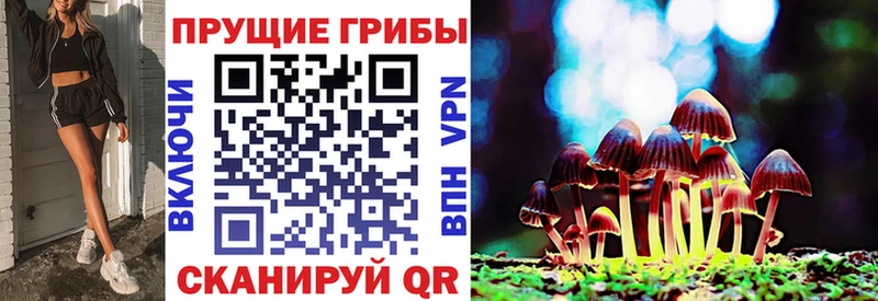 Галлюциногенные грибы ЛСД  где можно купить   Михайловка 